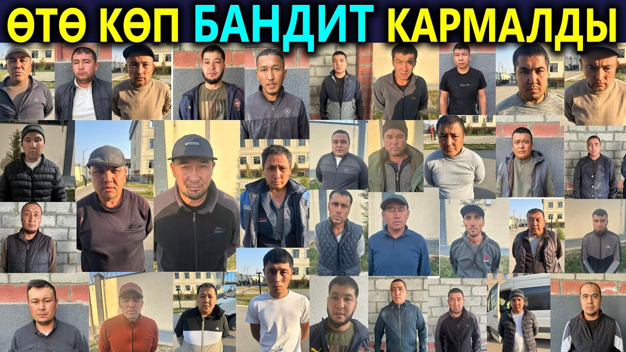 Чек араны бузуп Тажиктерге мал сатып, РЕКЕТ болом деп кармалды