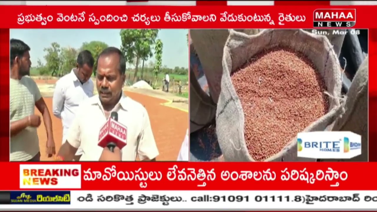 మద్దతు ధర లేక ఎర్ర జొన్న రైతుల ఆవేదన || Red Sorghum Farmers Struggle Without Support Price