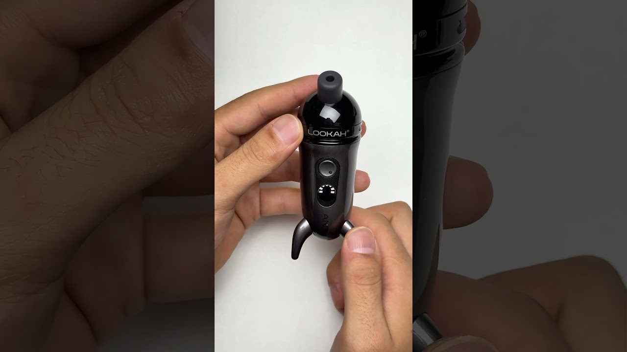 Rocket or Ant??? 😜🫶🏼💚🍃 #rocket #ant