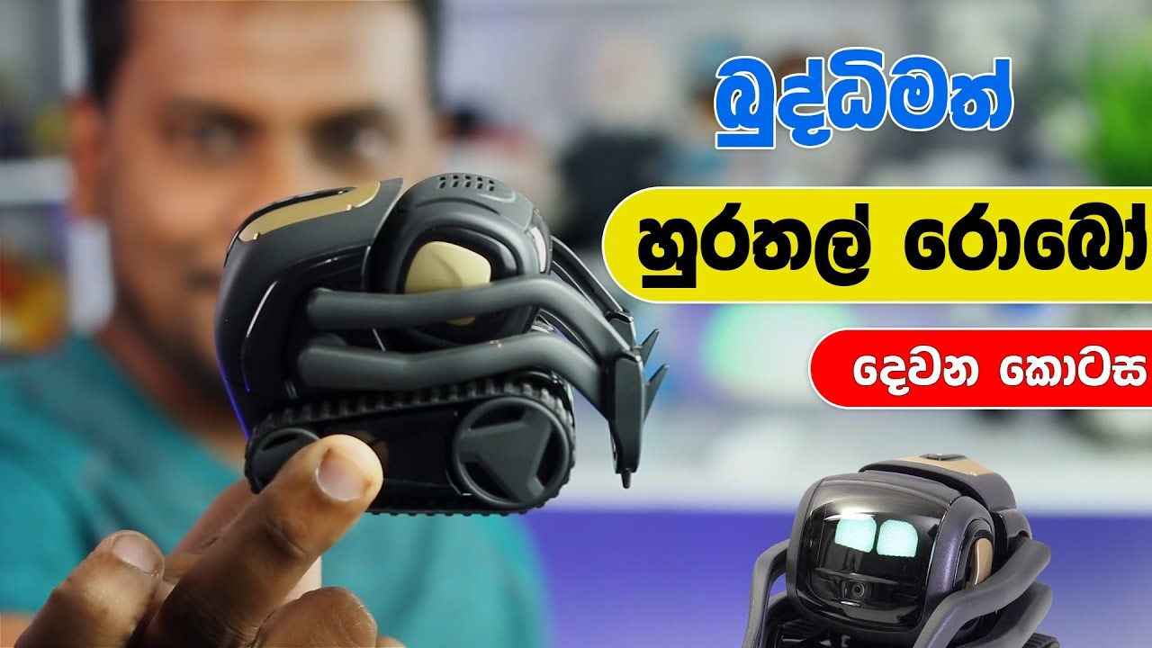 Vector Robot Explained 🇱🇰