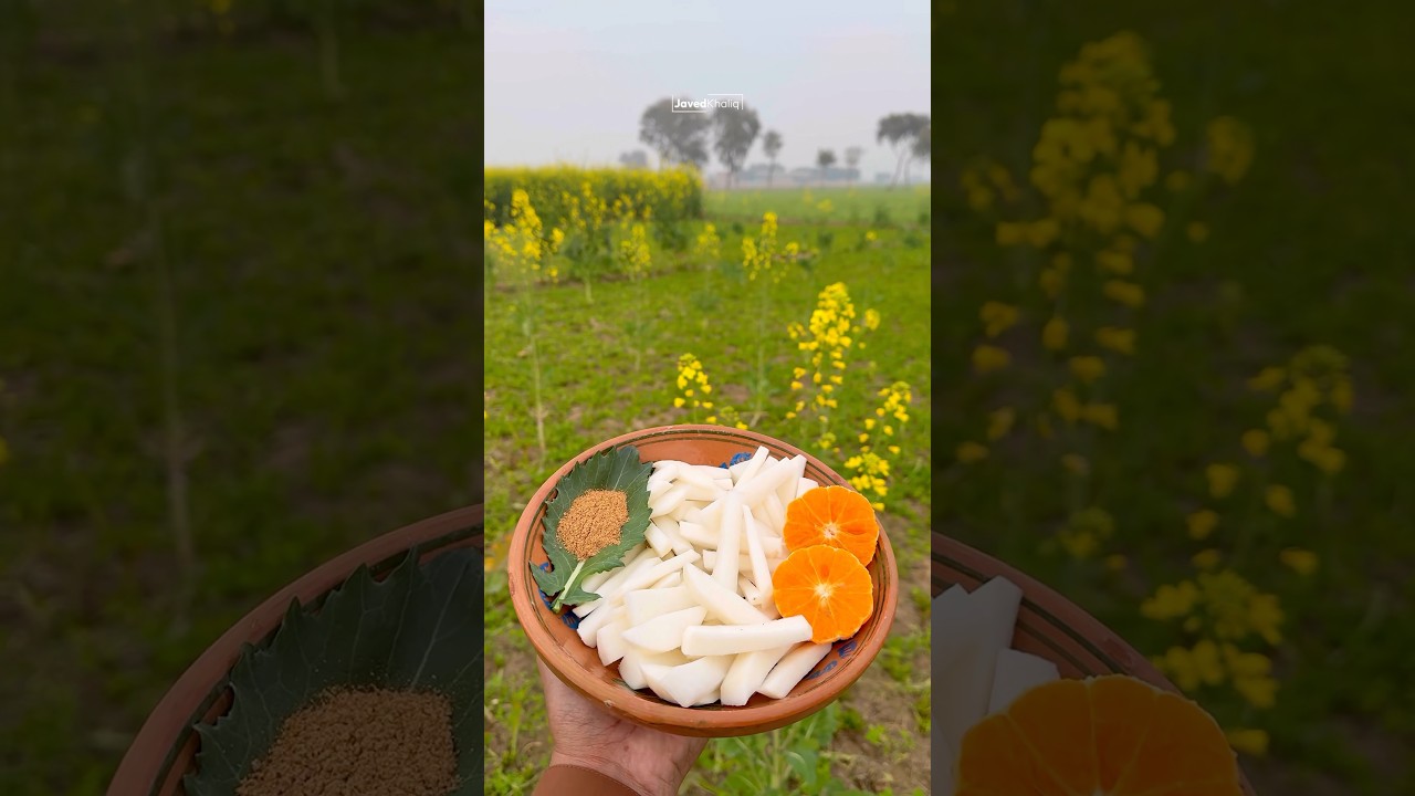Nature's salad, at its best. #punjab #villagelife #radish #turnip #farming #pindlife