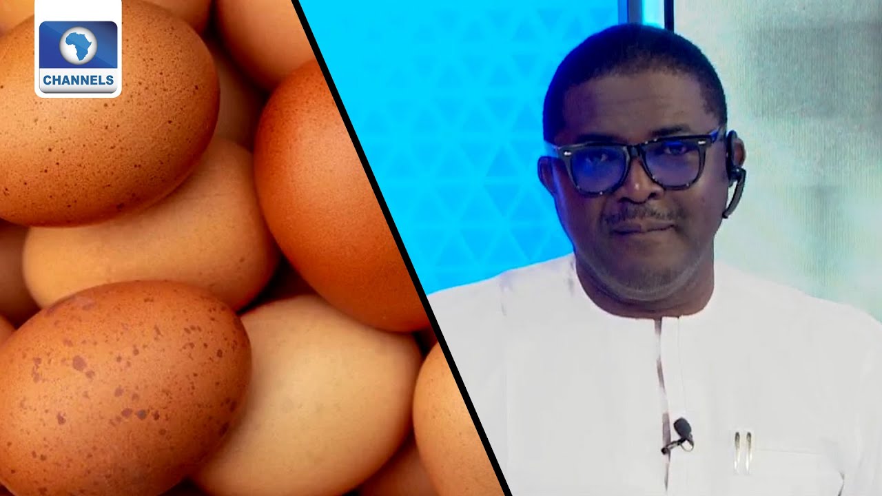 Poultry Farmer Raises Alarm Over Egg Glut In Nigeria