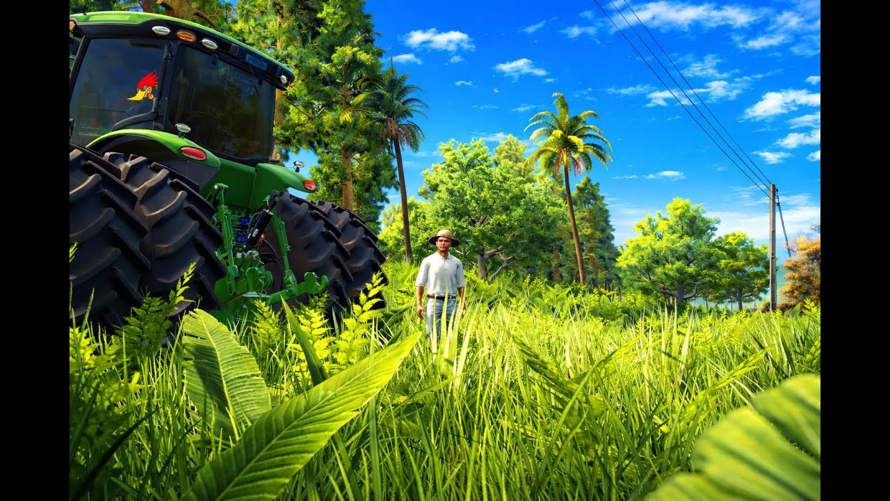 MEXENDO NA MADEIREIRA DO  GUASU