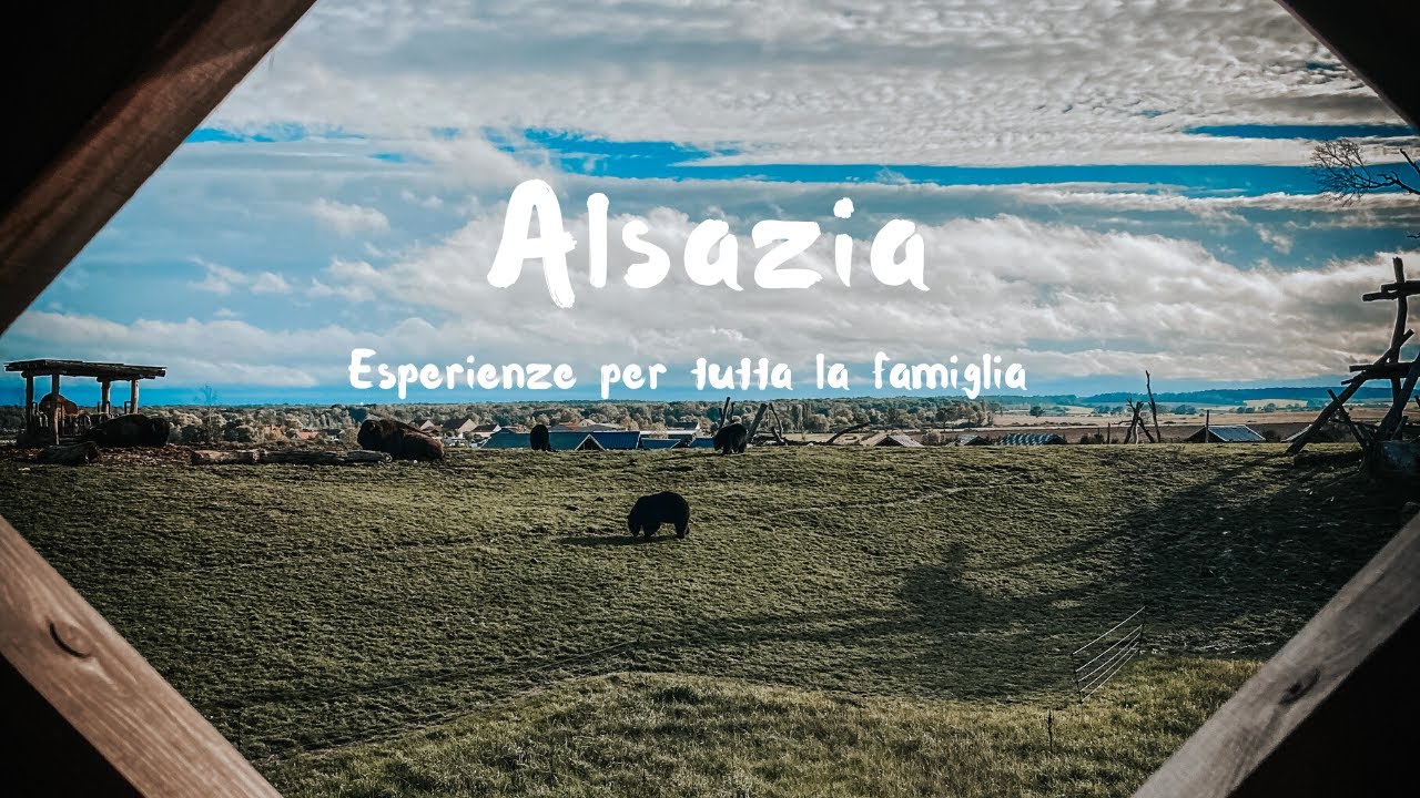 VIAGGIO IN ALSAZIA IN FAMIGLIA - Il parco di Sainte-Croix
