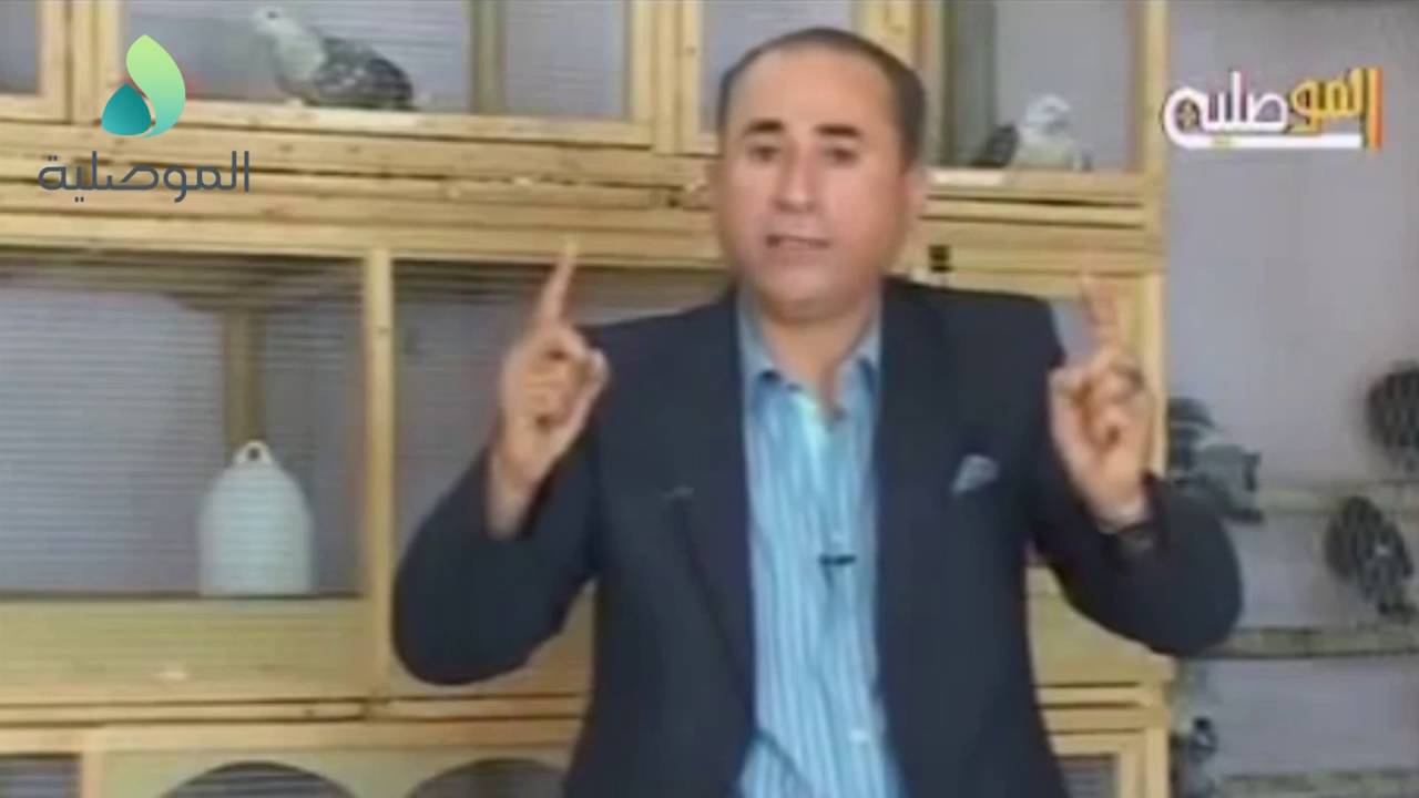 بالمصلاوي تربية الطيور في الموصل الحلقة 33