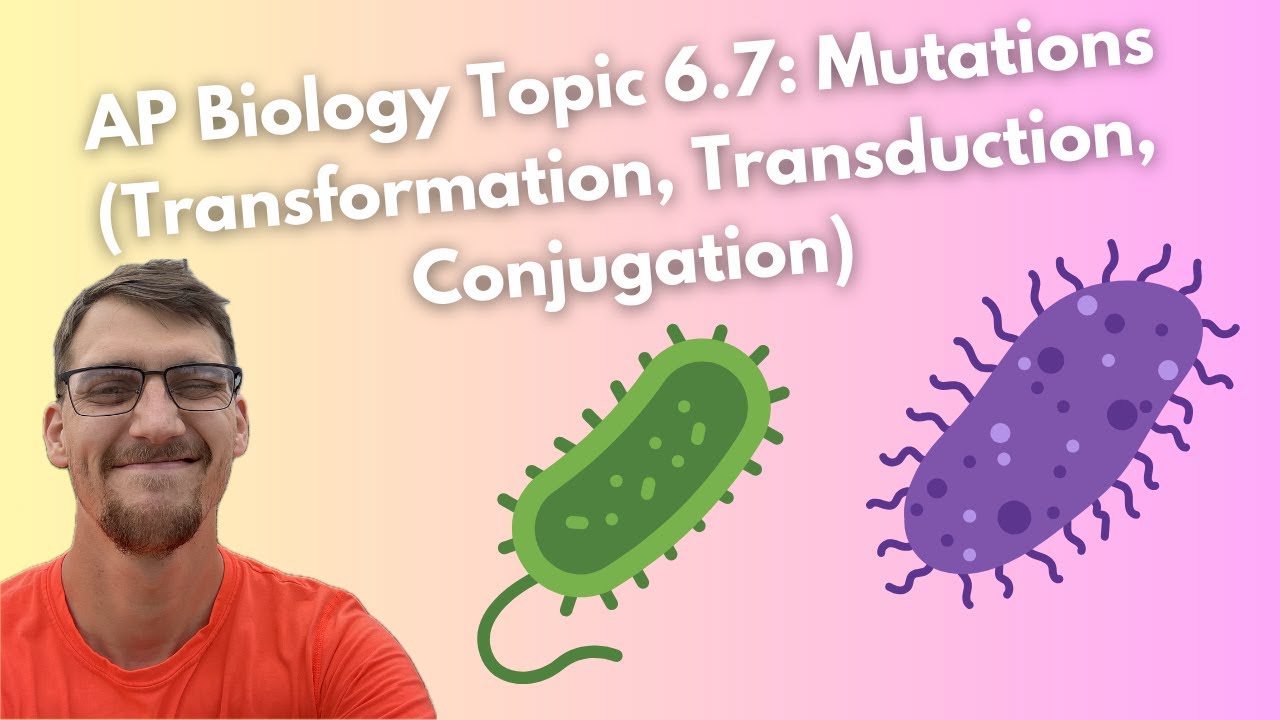 (2019 curriculum) 6.7 Mutations (Transformation, Transduction, Conjugation) - AP Biology