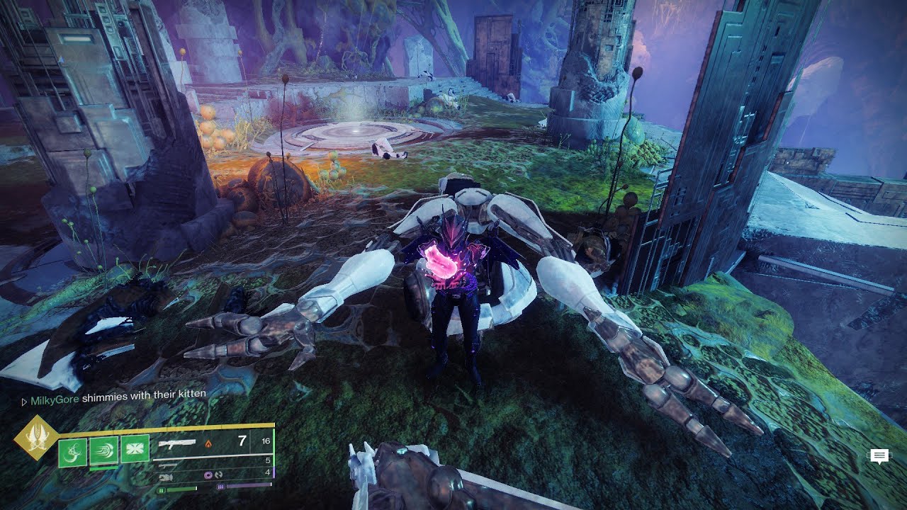 How a silly little cow clears Solo Iatros