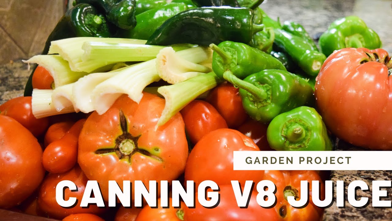 Vegetable Juice for Canning 🍅