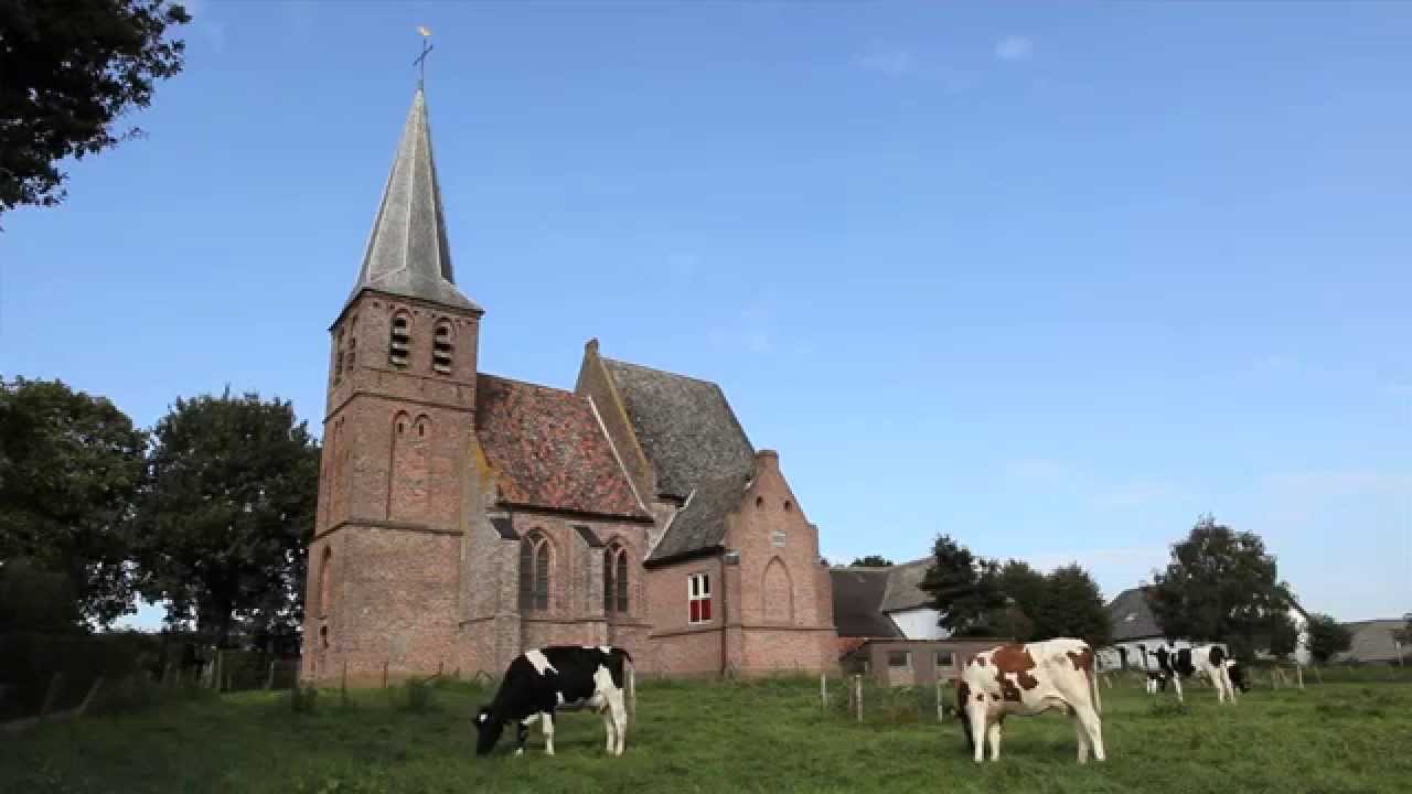 Bonnie 'Prince' Billy and The Cairo Gang — I'm Tired of Singing My Song in Las Vegas