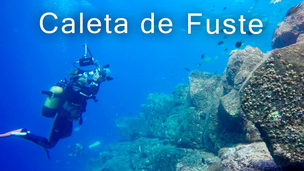 A diving paradise in Caleta de Fuste | Fuerteventura
