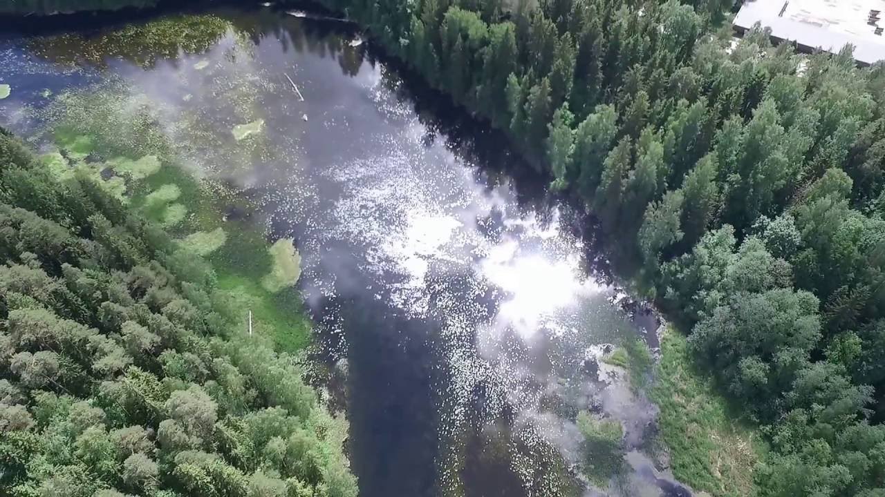 Деревни Даймище и Батово на Оредеже, июнь 2016