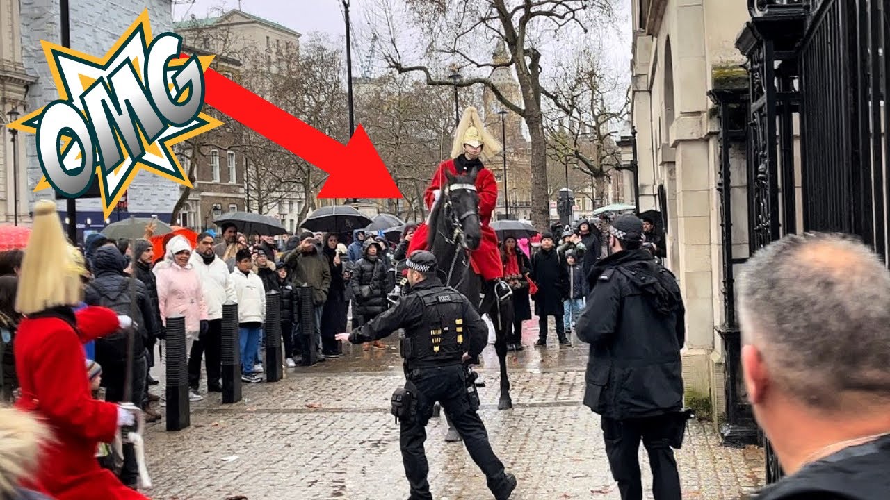 Armed Police & Everyone Come to Save SPOOKED HORSE!