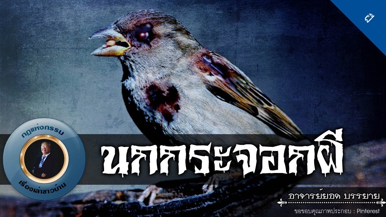 อาจารย์ยอด : นกกระจอกผี [ผี]