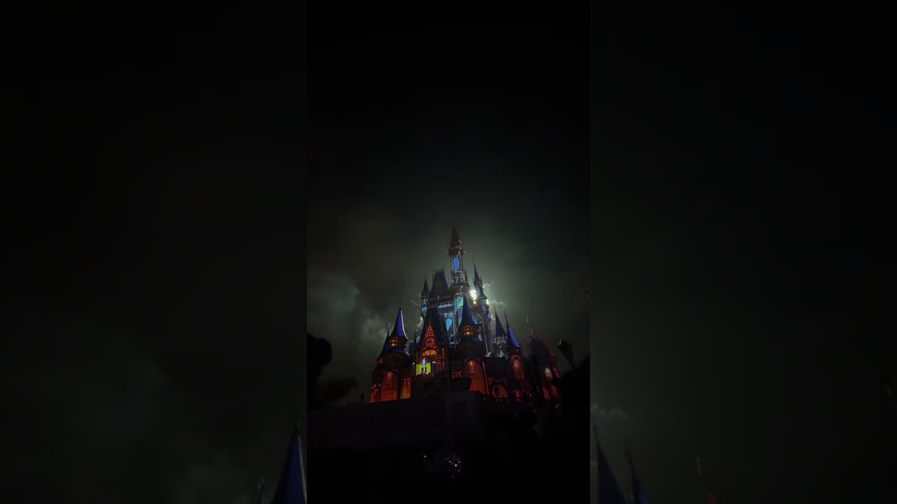 Happily Ever After #disney #disneyparks #magickingdom #fireworks #happilyeverafter