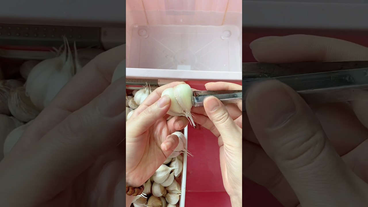 A rural mother born in the 1980s peels garlic at home to earn pocket money #farming