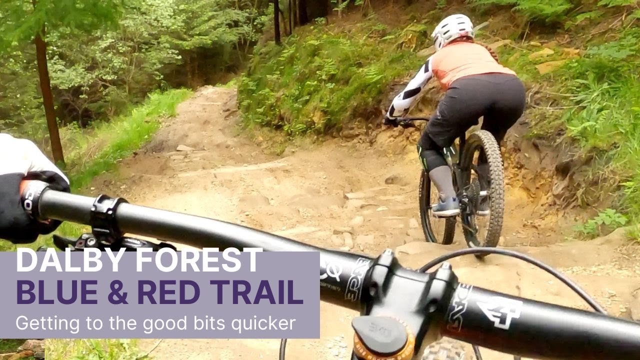 Dalby Forest Blue to end of Red Route - Getting to the good bits quicker