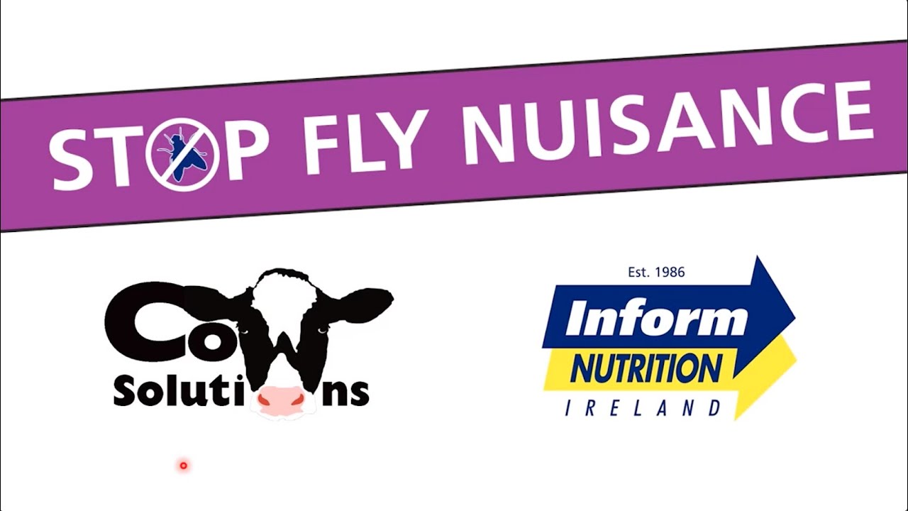 Fly Control Solutions by Martin Kavanagh (MVB), supported by Inform Nutrition