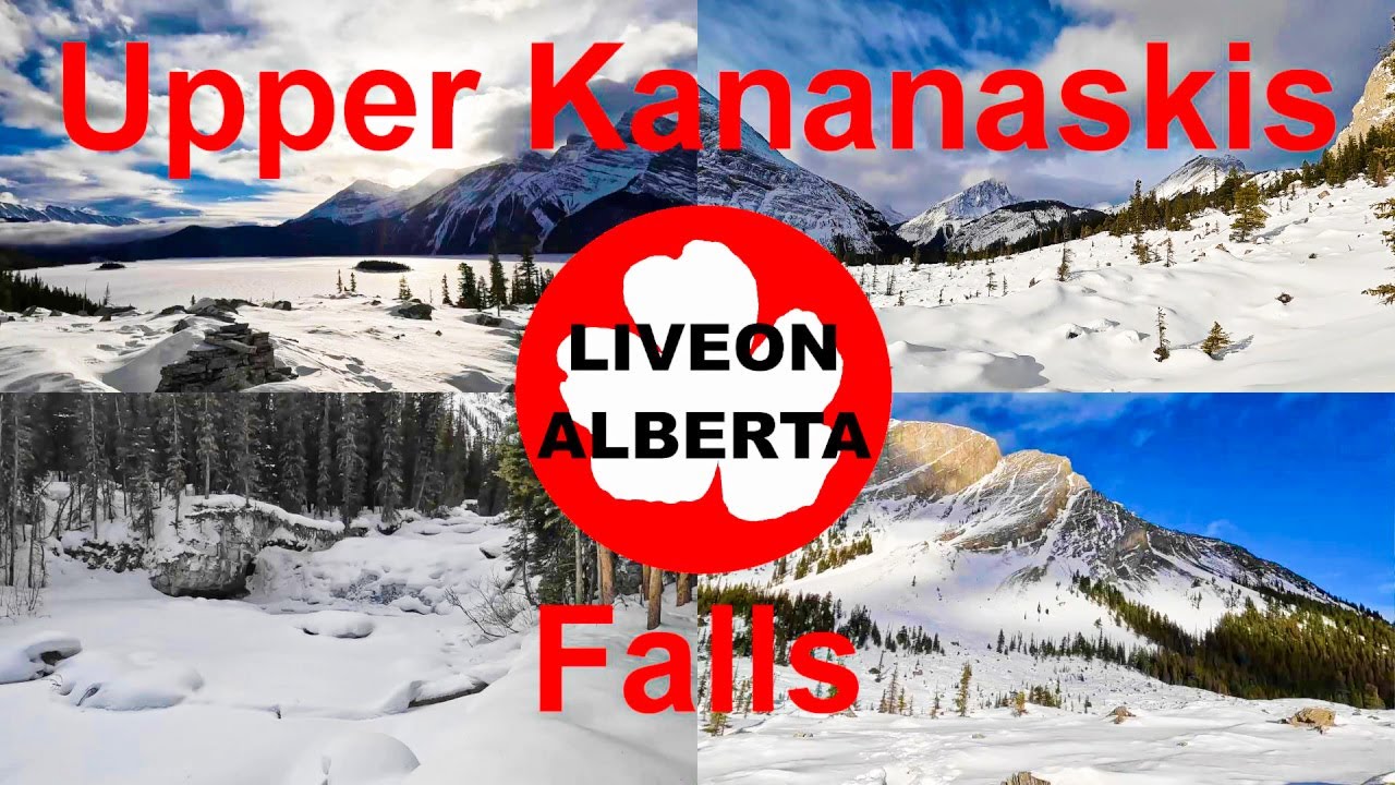 FROZEN PARADISE: Upper Kananaskis Falls in Winter #canadianrockies