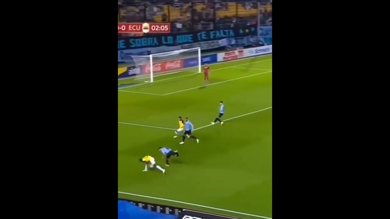 nandez