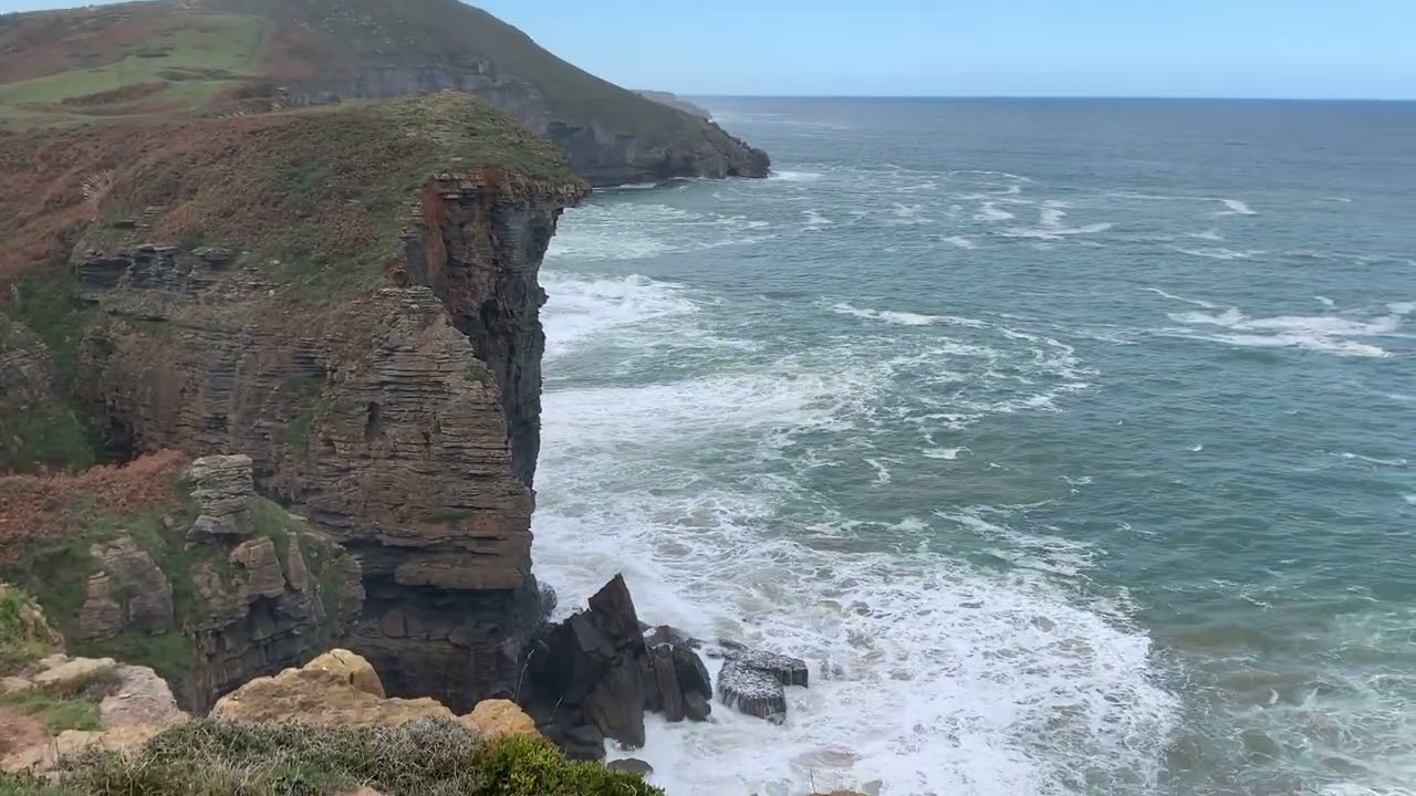 Quejo Isla Noviembre 2022