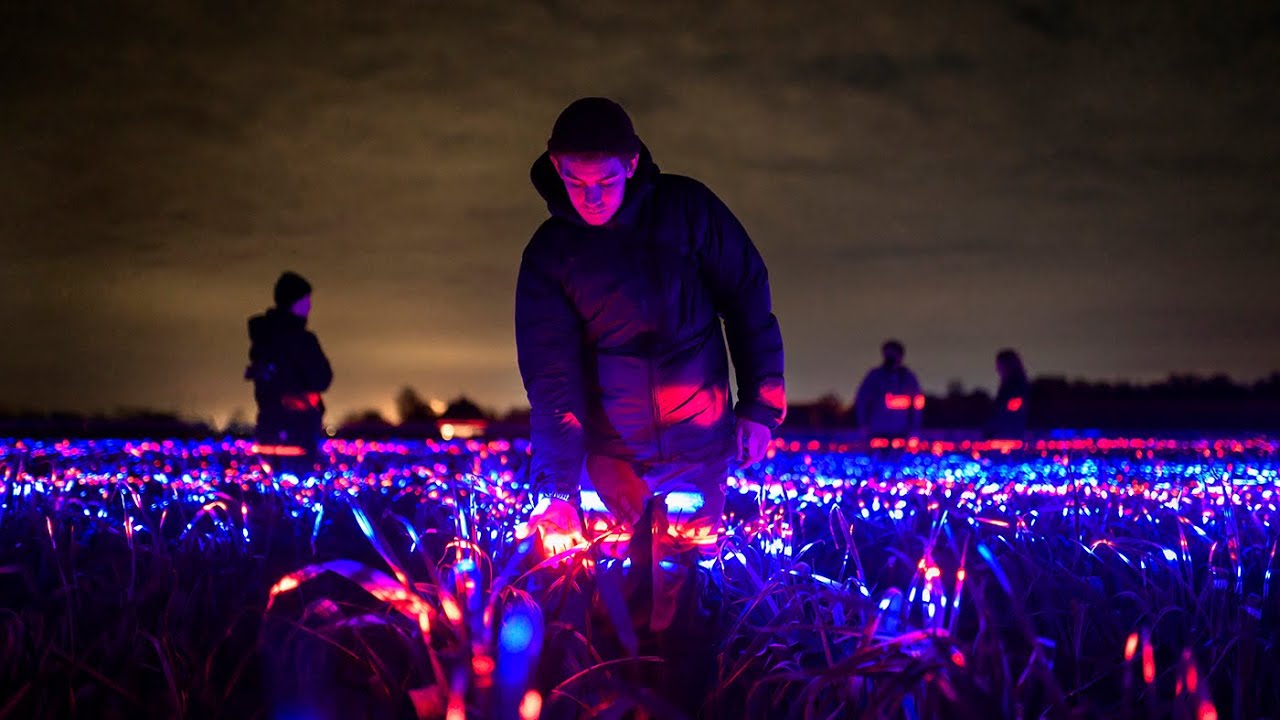 GROW | 20,000m&sup2; Highlighting the Beauty of Agriculture by Studio Roosegaarde [Official Movie]