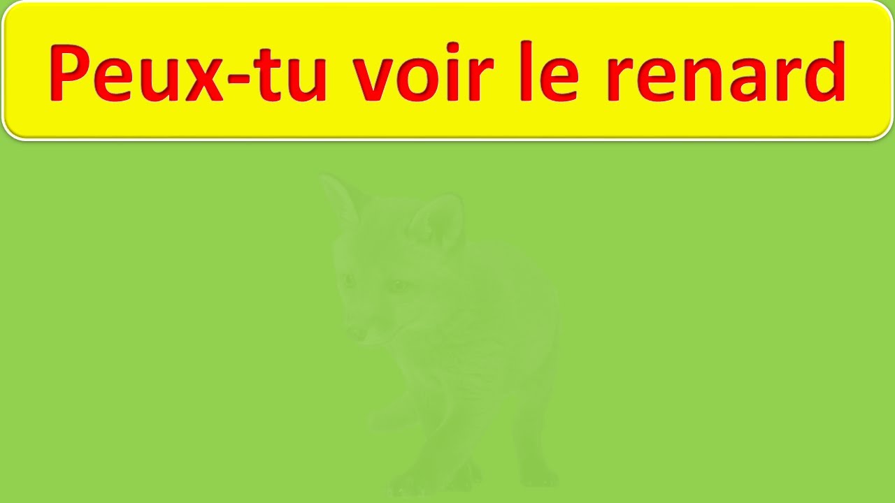 23 test desi Illusions d'Optique!