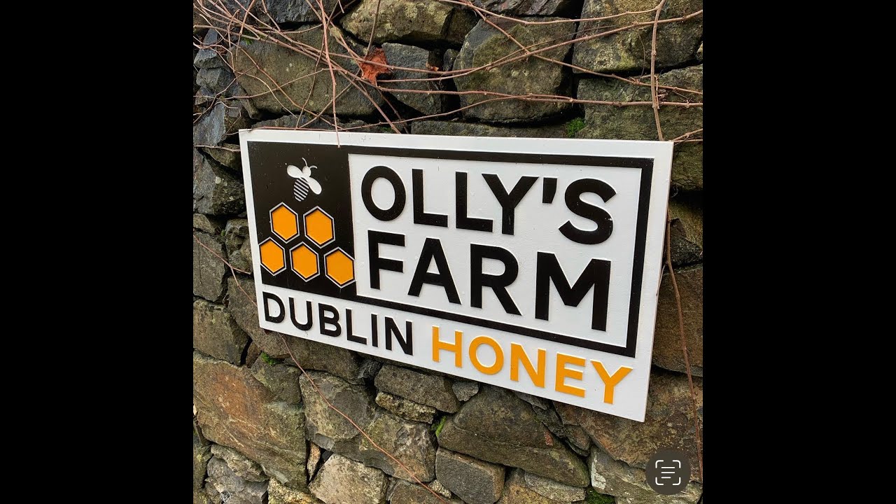 Ollys Farm  A trip To Ireland