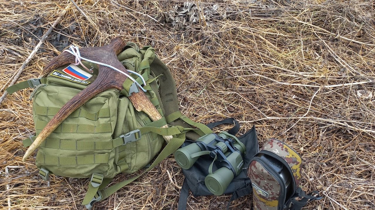 Поиск рогов)