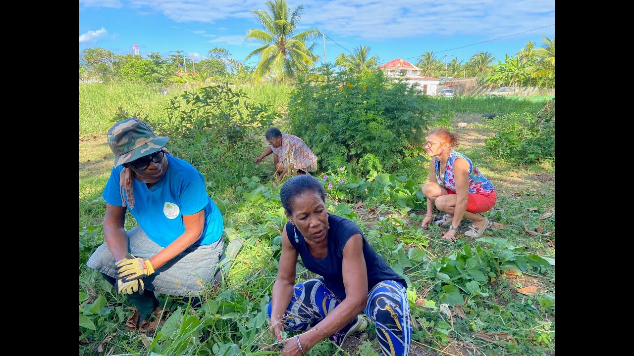 LES JARDINS CREOLES EN GUADELOUPE