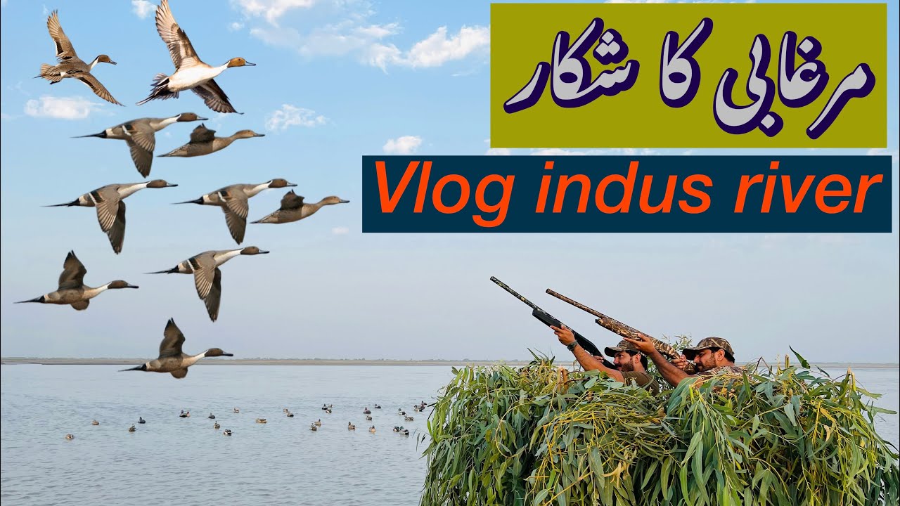 Duck hunting vlog with brother hassan khattak #indusriver #pakistan #duckshunting #hunting #camping