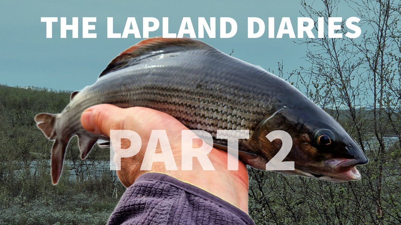 The Lapland Diaries (Part 2 of 8) - Fishing Begins