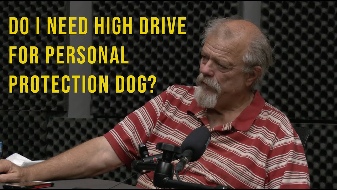 Do I Need High Drive For Personal Protection Dog