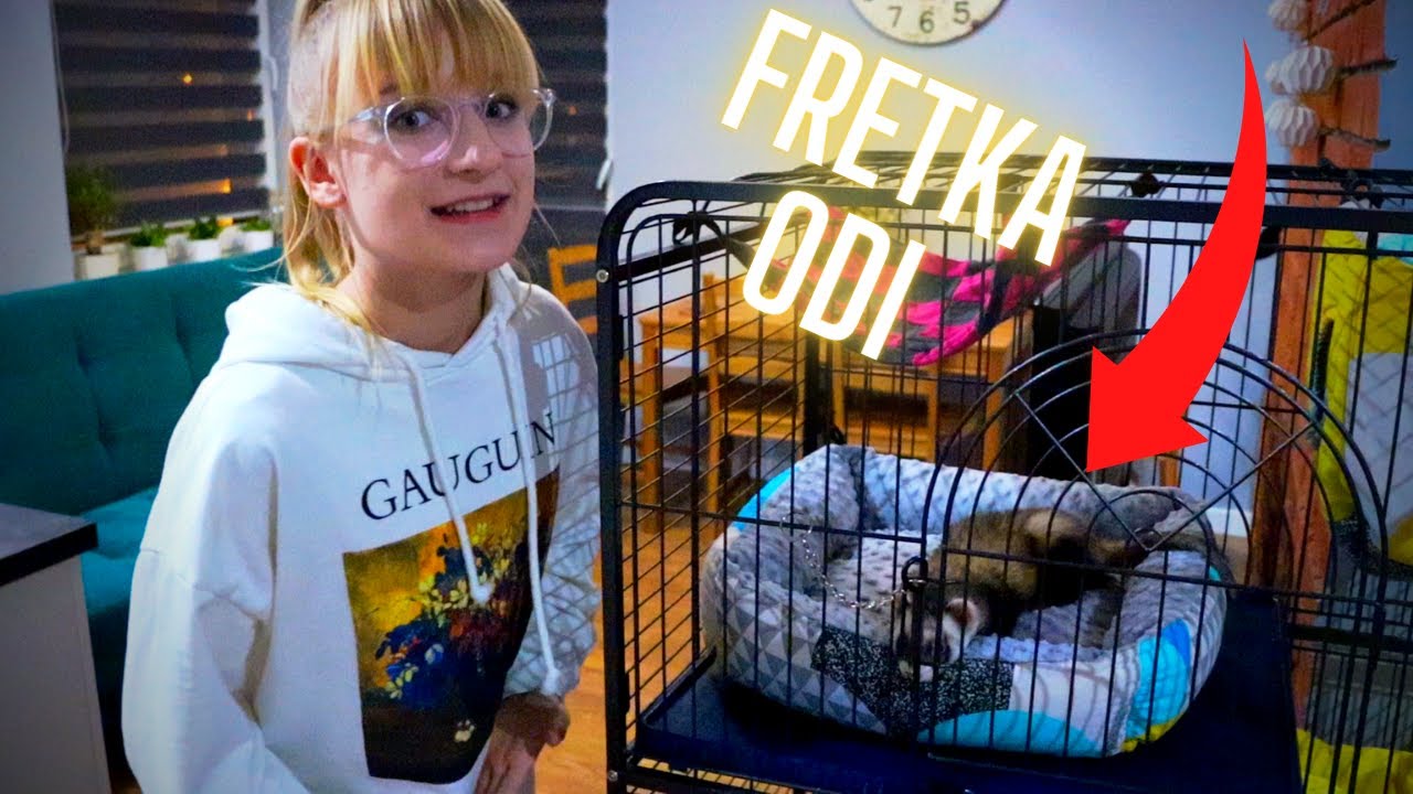 #1 - Wszystko co musisz wiedziec o FRETCE ! Mamy kolejnego zwierzaka?😯🦦
