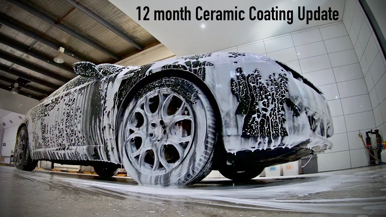 The Insane Detail 12month Coating & Wash Update! Alfa Romeo Brera