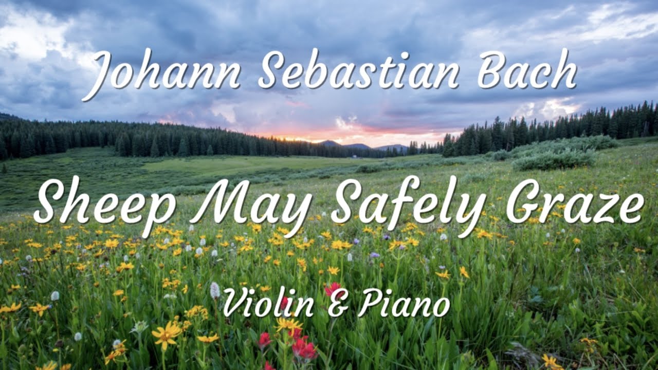 SHEEP MAY SAFELY GRAZE by J.S.BACH - Violin & Piano