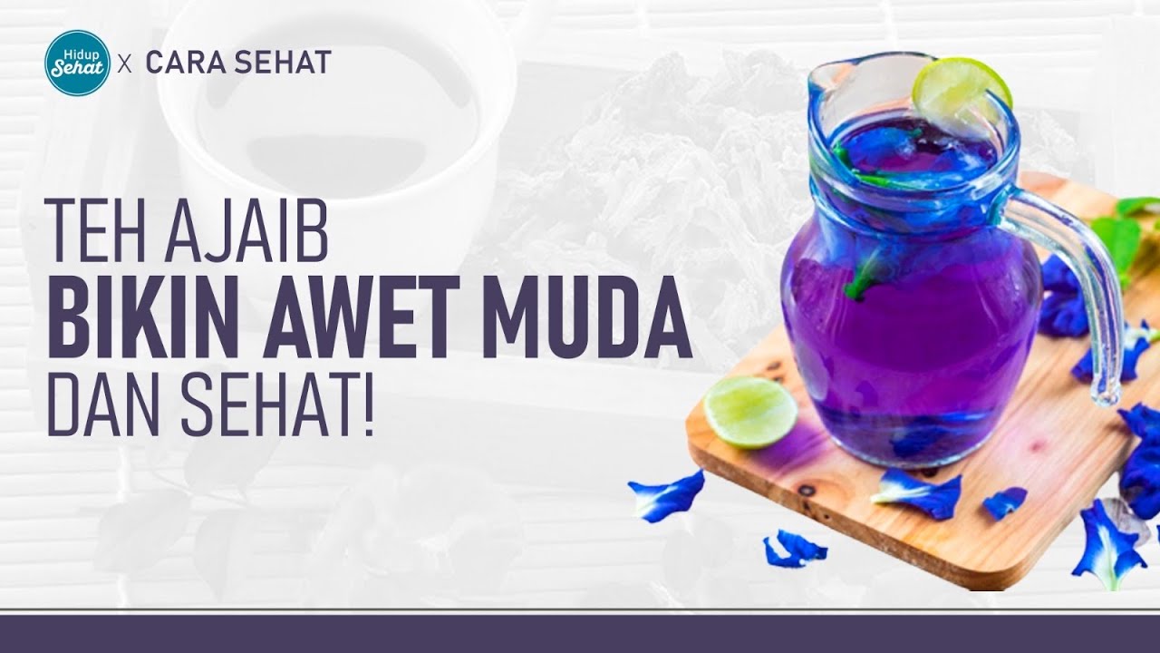 Teh Biru Bunga Telang Untuk Cegah Kerutan dan Kolesterol, Ini Cara Buatnya | Hidup Sehat tvOne