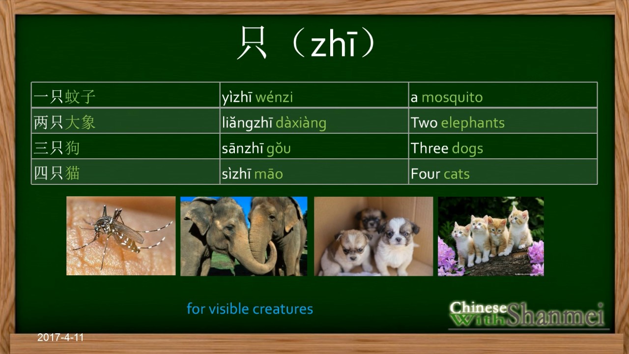 Beginner Chinese Grammar epd03. measure word-6 common classifiers