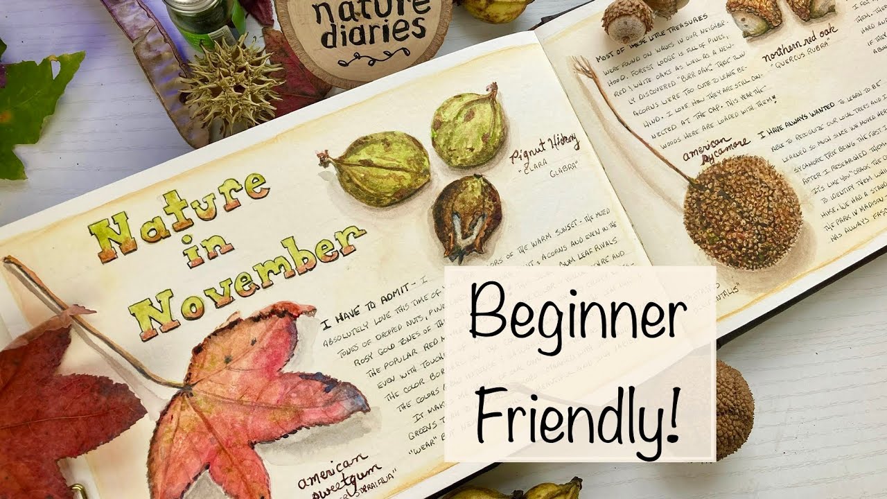 5 Tips for Drawing/Painting Realistically in Your Nature Journal