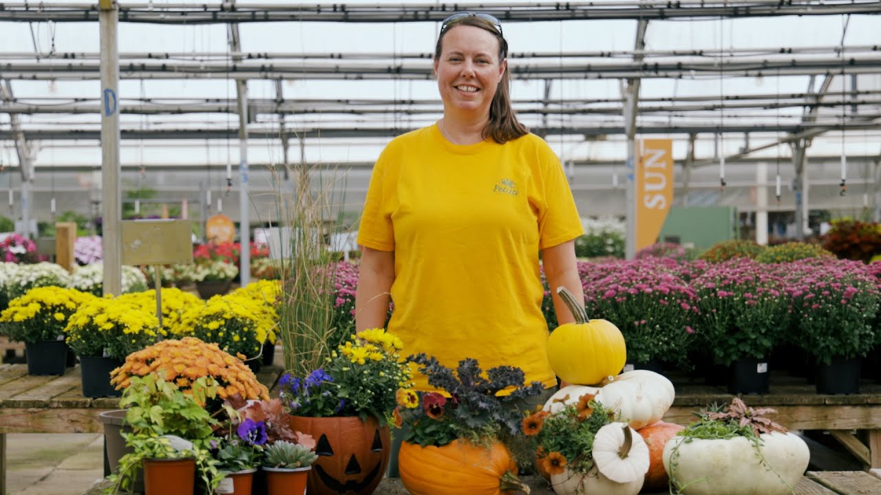 PETITTI | DIY Fall Pumpkin Planters