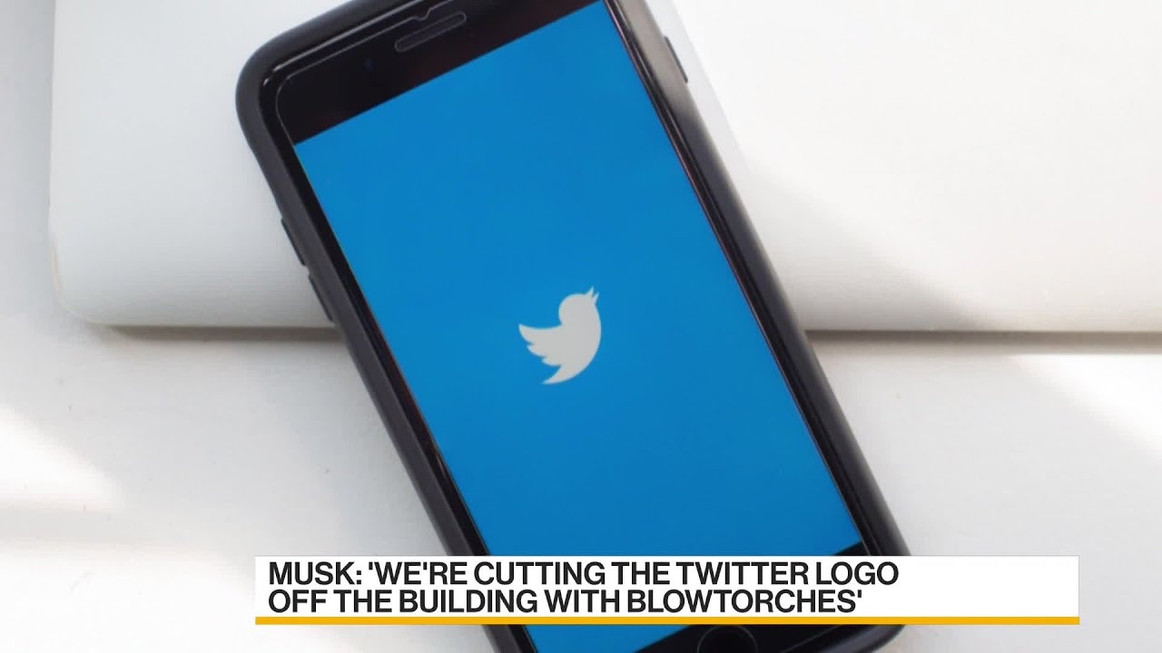 Musk Plans to Drop Twitter&rsquo;s Logo and &lsquo;All the Birds&rsquo;