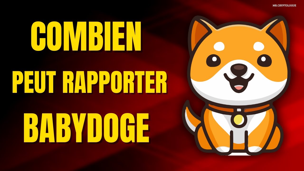 HOW MUCH CAN BABYDOGE COIN EARN?