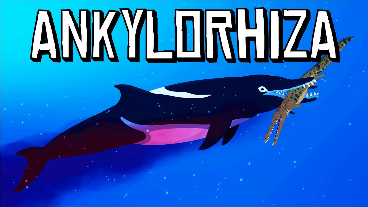 When Dolphins Ate Crocodiles...