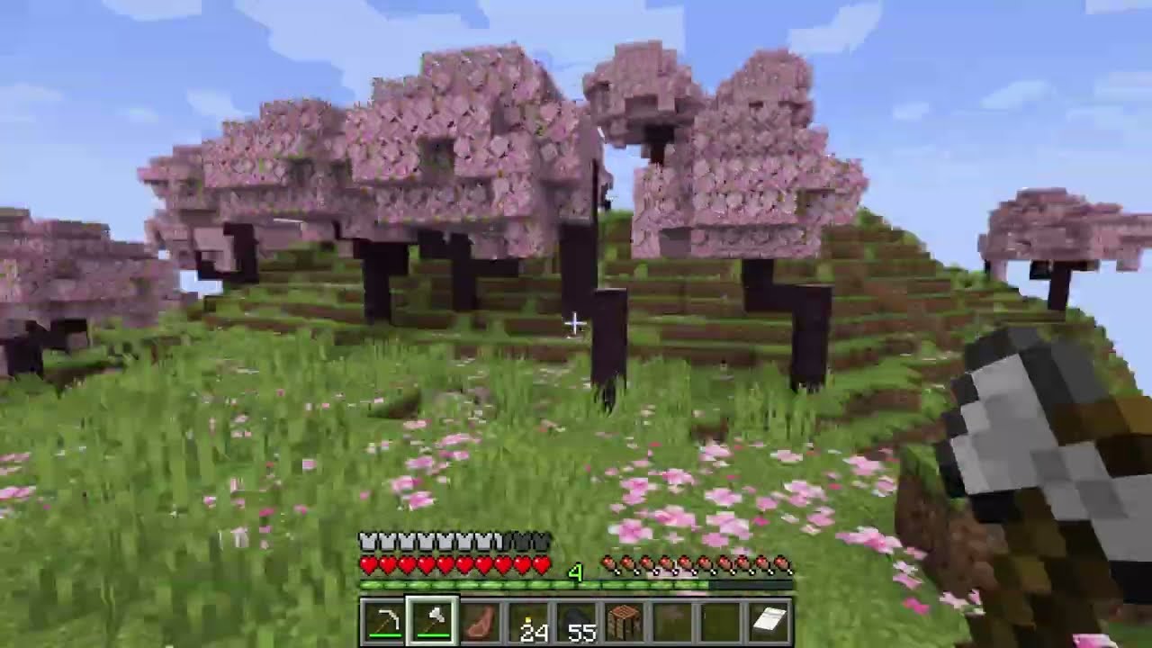 Minecraft survival! (Java) 1