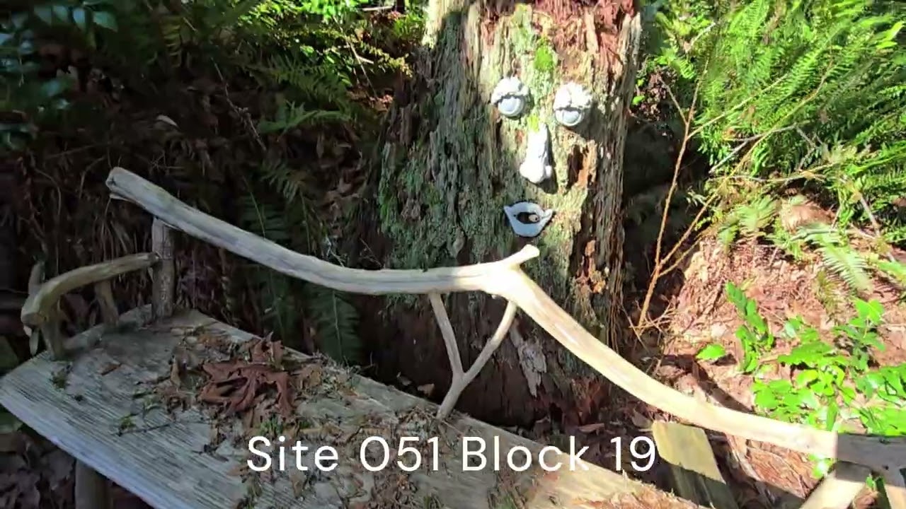 Block 19 Site 051 LMCH