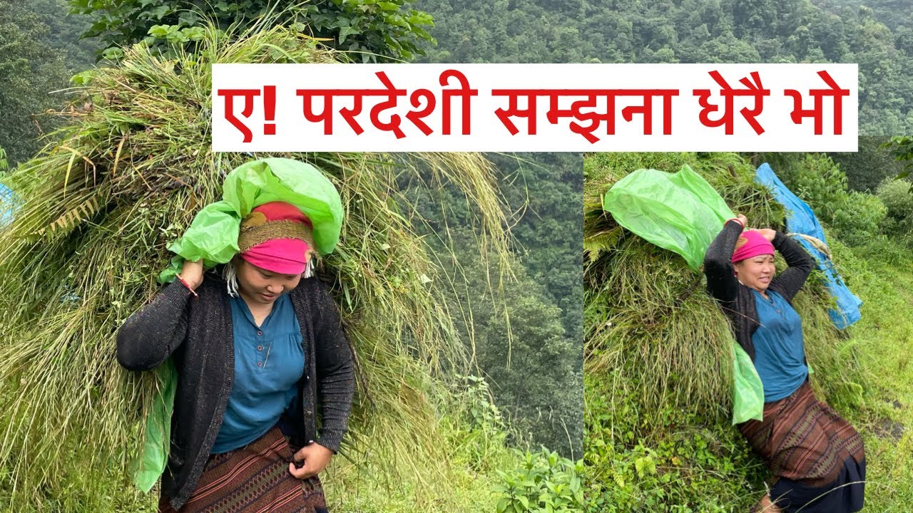 Simple Nepali village life /Susmita Gharti /