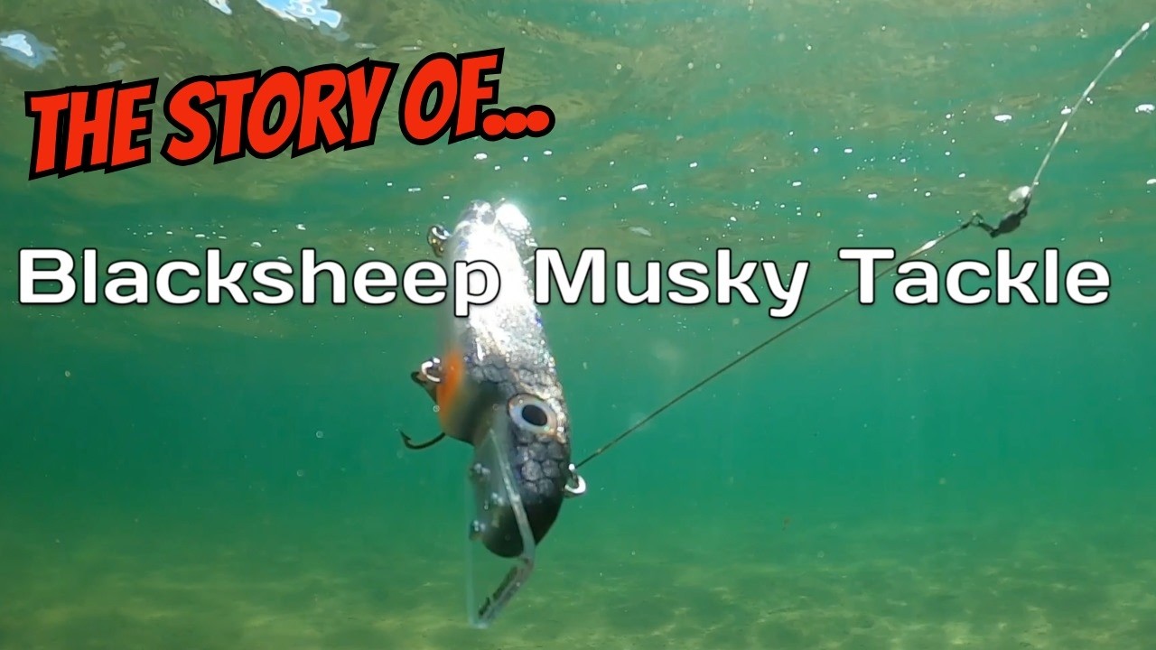 Новые приманки для ловли щуки, старые добрые корни | BLACKSHEEP MUSKY TACKLE