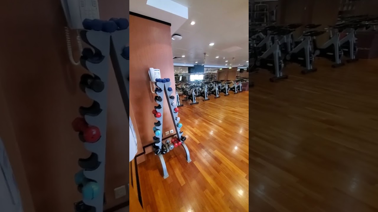 norwegian cruise line Gem gym