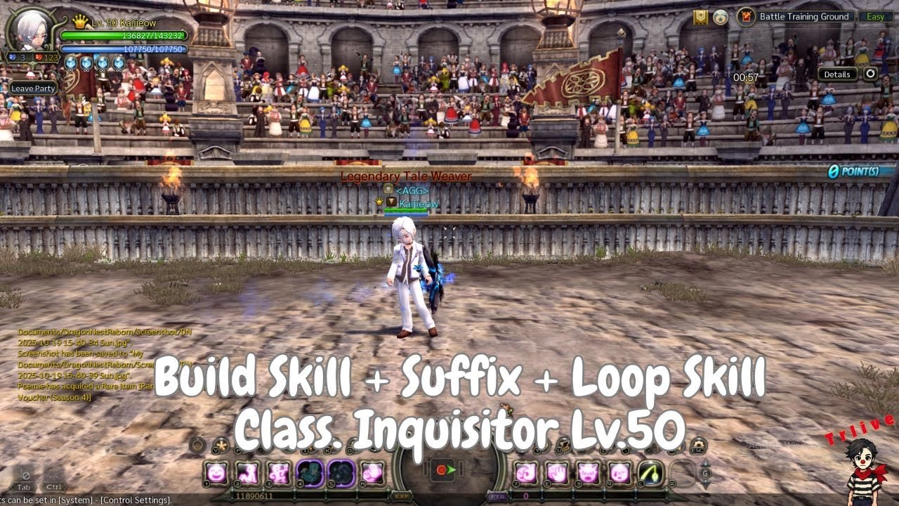 [DN Sea Classic] Build Skill + Suffix + Loop Skill Class. Inquisitor Lv.50