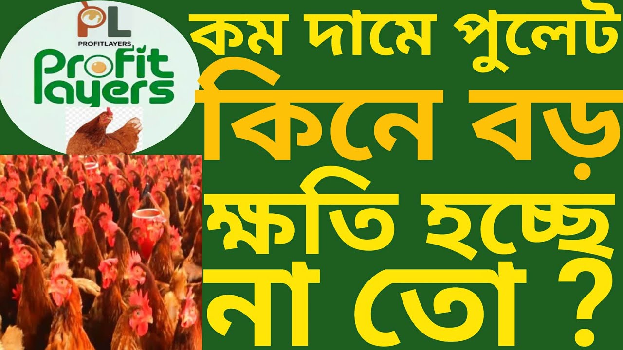 কম দামে পুলেট কিনে বড় ক্ষতি হচ্ছে না তো? | Profit Layers