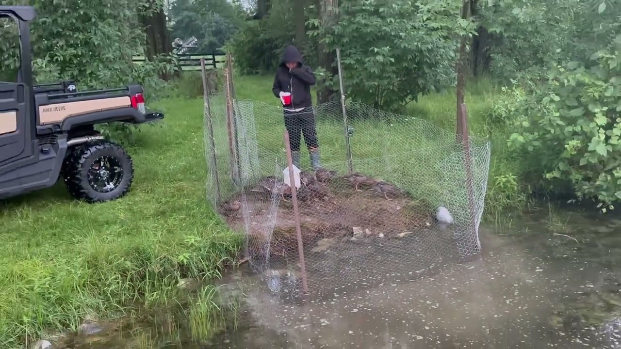 The Growth Story of Wild Duck